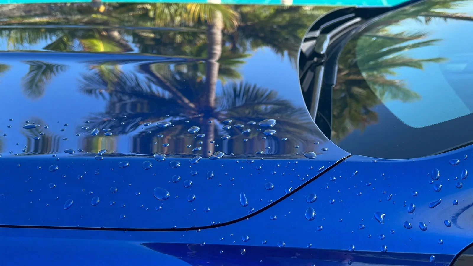 Water beading on protected car paint in the Florida Keys sun
