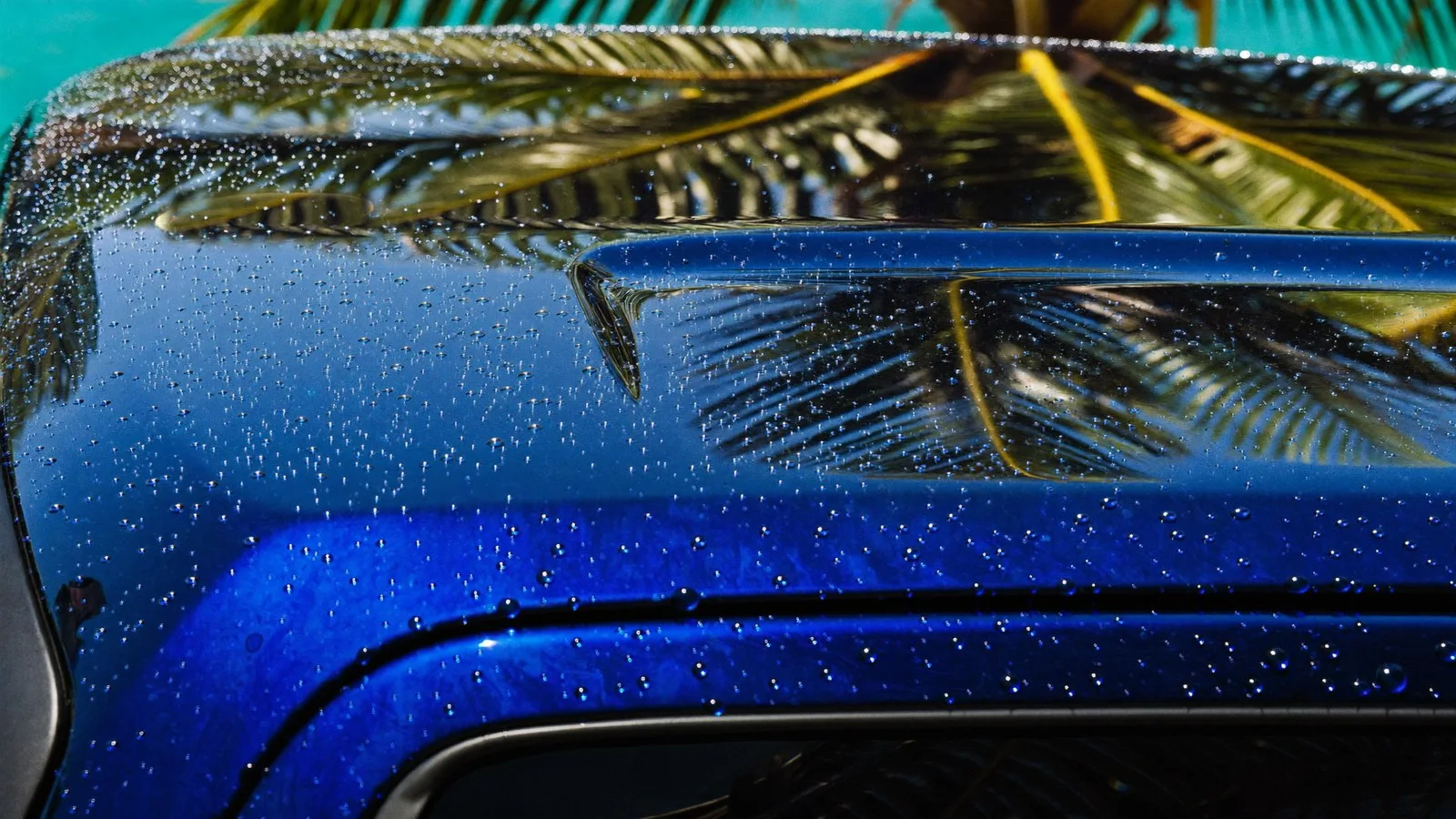 Water beading on the protected hood of a pickup truck in the Keys sun