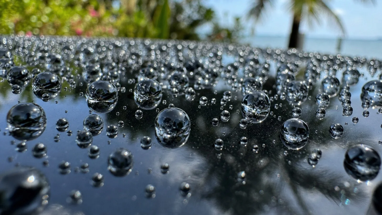 Macro close-up of water droplets beading on freshly ceramic-coated car paint, with soft-focus tropical Florida Keys greenery and water in the background